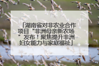 湖南省对非农业合作项目“非洲母亲新农场”发布！聚焦提升非洲妇女能力与家庭福祉