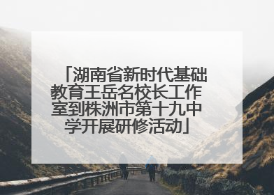 湖南省新时代基础教育王岳名校长工作室到株洲市第十九中学开展研修活动