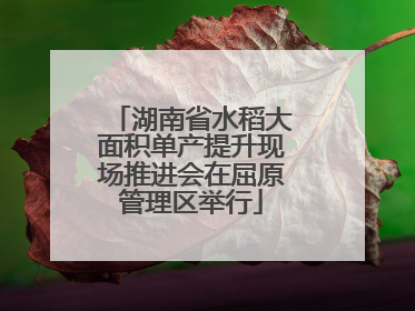 湖南省水稻大面积单产提升现场推进会在屈原管理区举行