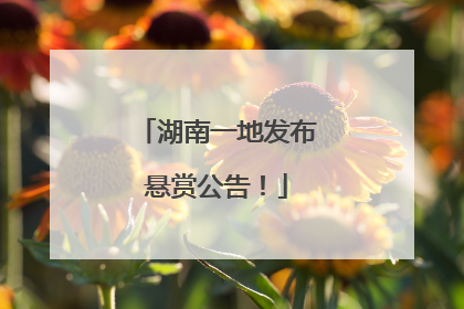 湖南一地发布悬赏公告！