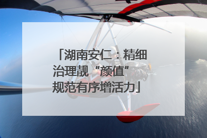 湖南安仁：精细治理靓“颜值” 规范有序增活力