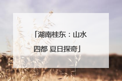 湖南桂东：山水四都 夏日探奇