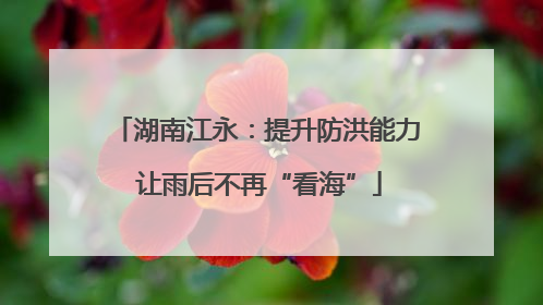 湖南江永：提升防洪能力 让雨后不再“看海”