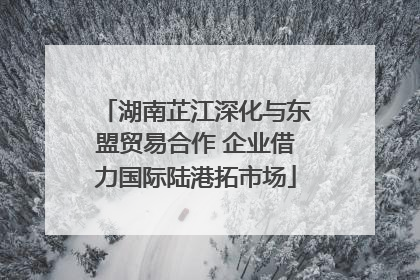 湖南芷江深化与东盟贸易合作 企业借力国际陆港拓市场