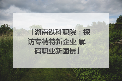 湖南铁科职院：探访专精特新企业 解码职业新图景