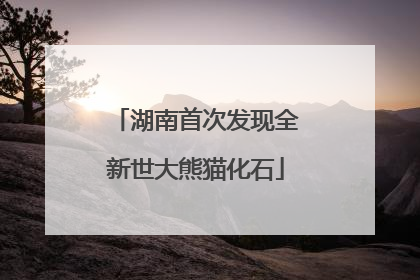 湖南首次发现全新世大熊猫化石