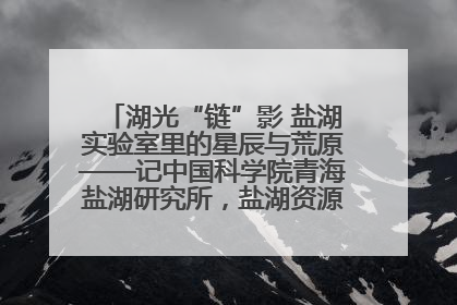 湖光“链”影 盐湖实验室里的星辰与荒原——记中国科学院青海盐湖研究所，盐湖资源化学实验室党总支书记、副主任刘忠