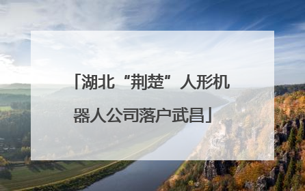 湖北“荆楚”人形机器人公司落户武昌