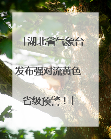 湖北省气象台发布强对流黄色省级预警！