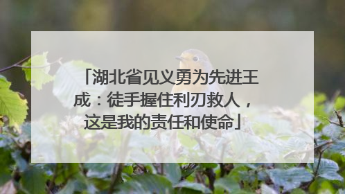 湖北省见义勇为先进王成：徒手握住利刃救人，这是我的责任和使命
