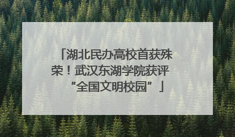 湖北民办高校首获殊荣！武汉东湖学院获评“全国文明校园”