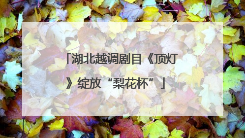湖北越调剧目《顶灯》绽放“梨花杯”