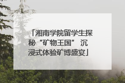 湘南学院留学生探秘“矿物王国” 沉浸式体验矿博盛宴