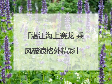 湛江海上赛龙 乘风破浪格外精彩