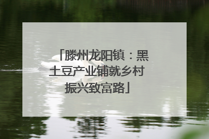 滕州龙阳镇：黑土豆产业铺就乡村振兴致富路