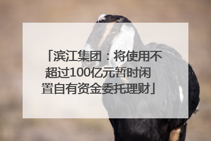 滨江集团：将使用不超过100亿元暂时闲置自有资金委托理财
