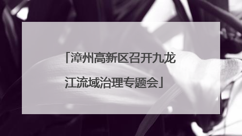 漳州高新区召开九龙江流域治理专题会