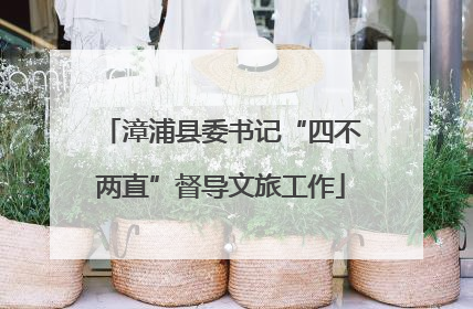 漳浦县委书记“四不两直”督导文旅工作