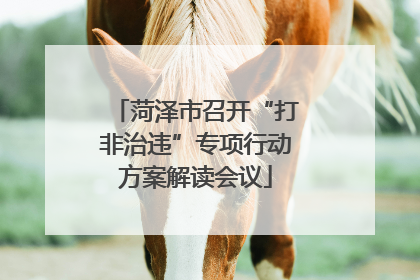 菏泽市召开“打非治违”专项行动方案解读会议