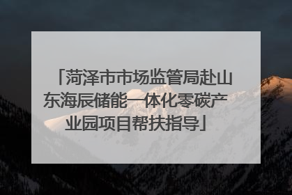 菏泽市市场监管局赴山东海辰储能一体化零碳产业园项目帮扶指导
