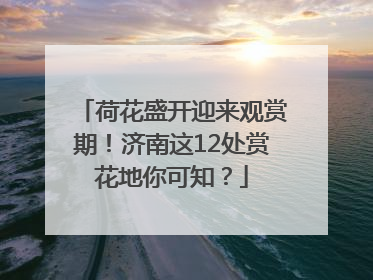 荷花盛开迎来观赏期！济南这12处赏花地你可知？