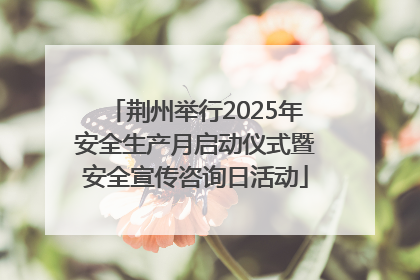 荆州举行2025年安全生产月启动仪式暨安全宣传咨询日活动