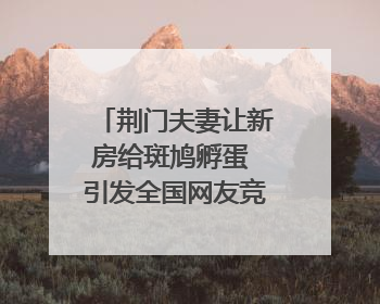 荆门夫妻让新房给斑鸠孵蛋 引发全国网友竞相晒“人鸟共处”图