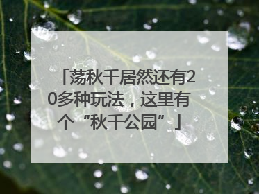 荡秋千居然还有20多种玩法，这里有个“秋千公园”