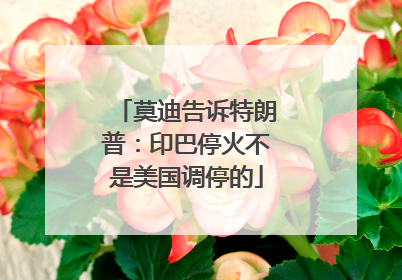 莫迪告诉特朗普：印巴停火不是美国调停的