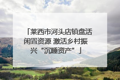 莱西市河头店镇盘活闲置资源 激活乡村振兴“沉睡资产”