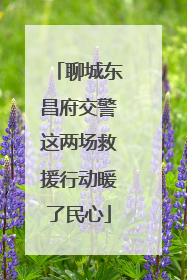 聊城东昌府交警这两场救援行动暖了民心