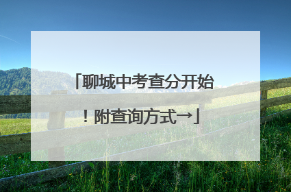 聊城中考查分开始！附查询方式→