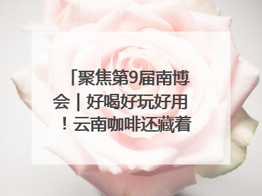聚焦第9届南博会｜好喝好玩好用！云南咖啡还藏着多少惊喜？