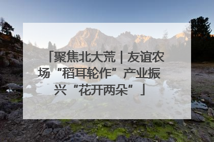 聚焦北大荒｜友谊农场“稻耳轮作”产业振兴“花开两朵”