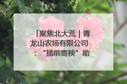 聚焦北大荒｜青龙山农场有限公司：“插前寄秧”助力农业节本增效