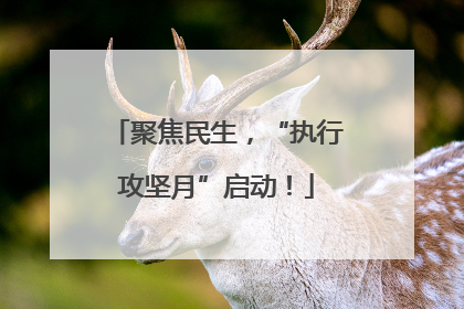 聚焦民生，“执行攻坚月”启动！