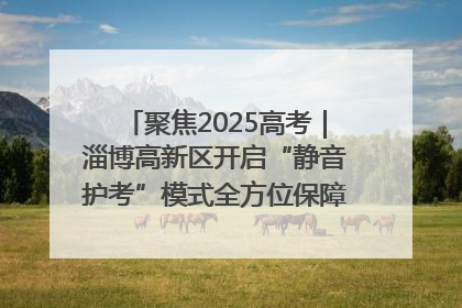聚焦2025高考｜淄博高新区开启“静音护考”模式全方位保障高考环境整洁