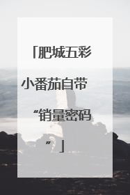 肥城五彩小番茄自带“销量密码”