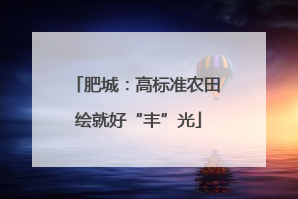 肥城：高标准农田绘就好“丰”光