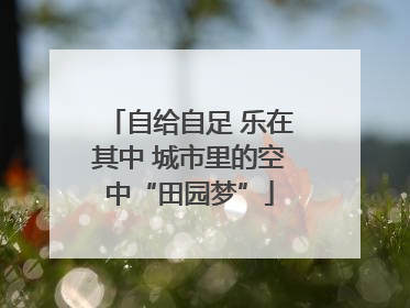 自给自足 乐在其中 城市里的空中“田园梦”