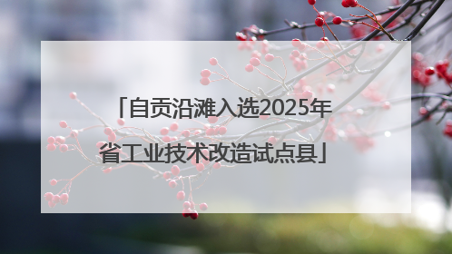 自贡沿滩入选2025年省工业技术改造试点县