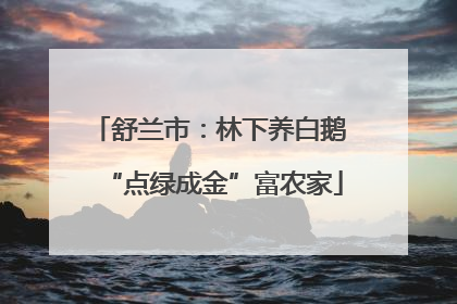 舒兰市：林下养白鹅 “点绿成金”富农家