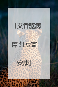 艾香驱病瘴 红豆寄安康