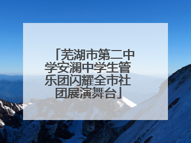 芜湖市第二中学安澜中学生管乐团闪耀全市社团展演舞台
