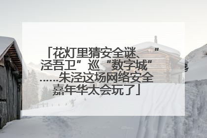 花灯里猜安全谜、“泾吾卫”巡“数字城”……朱泾这场网络安全嘉年华太会玩了