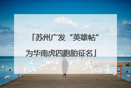 苏州广发“英雄帖”为华南虎四胞胎征名