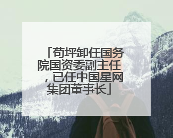 苟坪卸任国务院国资委副主任，已任中国星网集团董事长