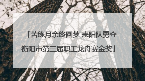 苦练月余终圆梦 耒阳队勇夺衡阳市第三届职工龙舟赛金奖