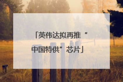 英伟达拟再推“中国特供”芯片