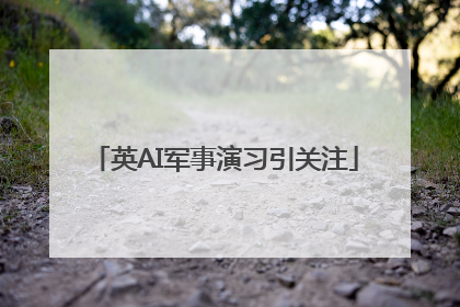 英AI军事演习引关注